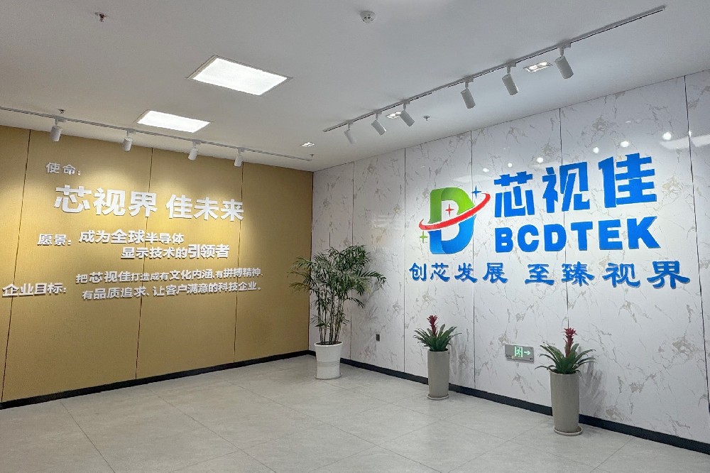 黨建引領(lǐng)啟新程 江西芯視佳黨支部正式成立